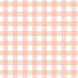 Gingham in Muted Peach