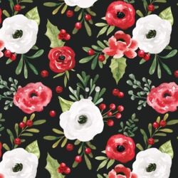 Winter Roses in Midnight
