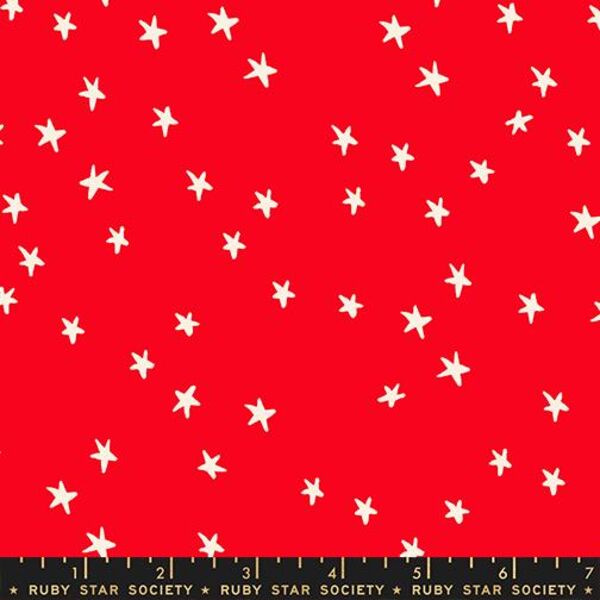 Starry in Ladybug