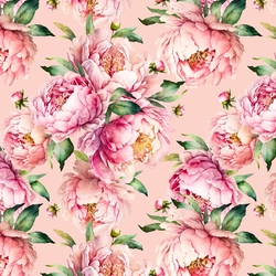 Peony Garden in Pink Petal