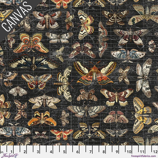 Halloween Moth Study Canvas in Halloween