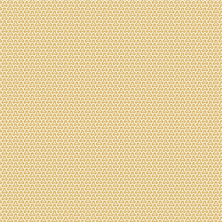 Little Honeycomb in Sunlight
