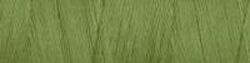Fern Green