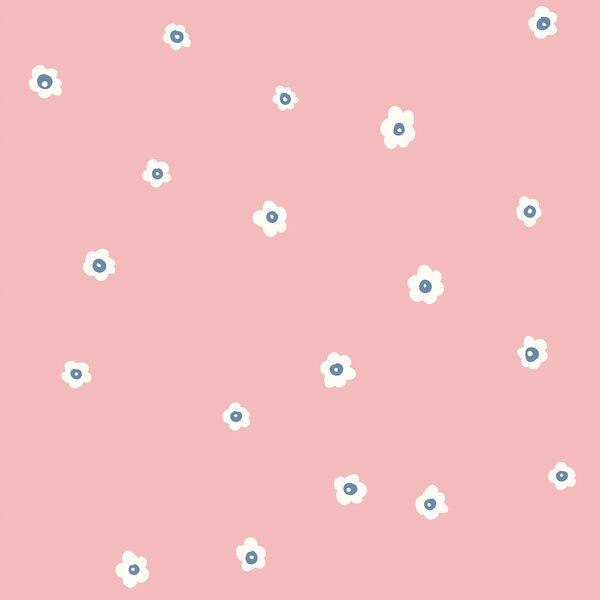 Meadow Daisy in Rose