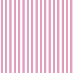 Dress Stripe in Begonia