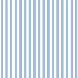Dress Stripe in Water