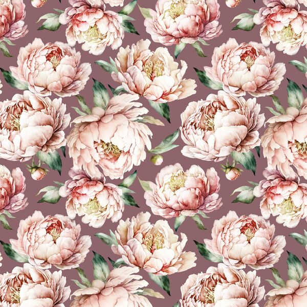 Peony Lane in Viola