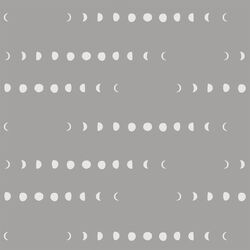 Moon Phases in Lunar
