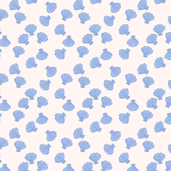 Scallop Sea Shell in Sky