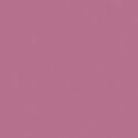 Bella Solids in English Rose