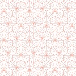 Little Radiate in Peony