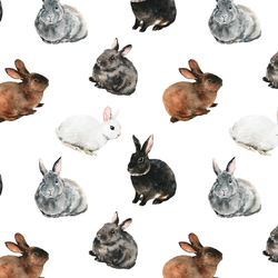 Spring Bunnies in White