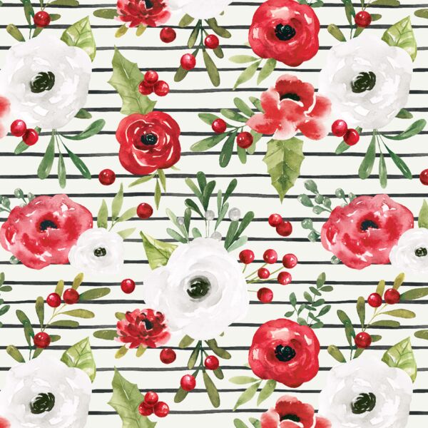 Winter Roses in Painted Stripe
