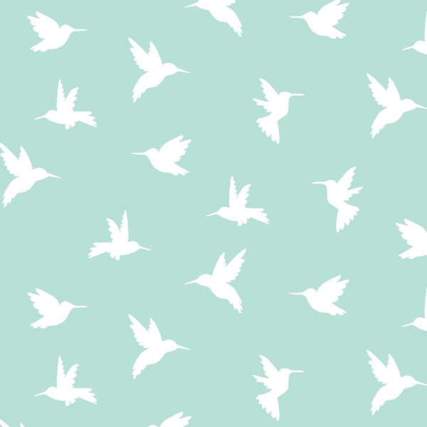 Hummingbird Silhouette in Aloe