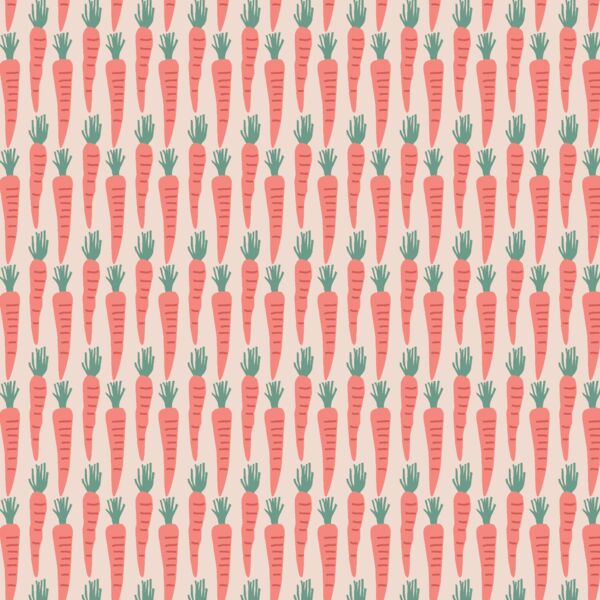 Carrot Patch in Spring