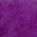 Palette in Concord Grape