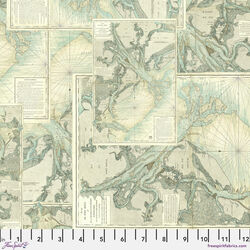 Map in Teal