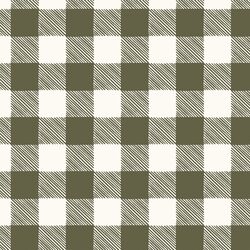 Merry Plaid in Forest