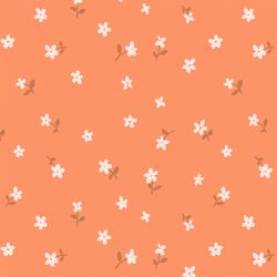Daisy in Apricot