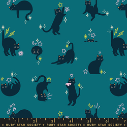 Catwalk in Storytime