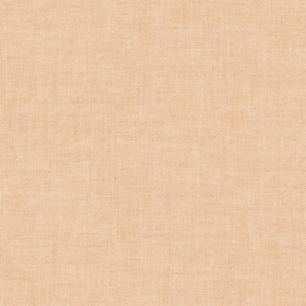 Textured Solid in Coral