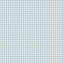 Gingham in Blue