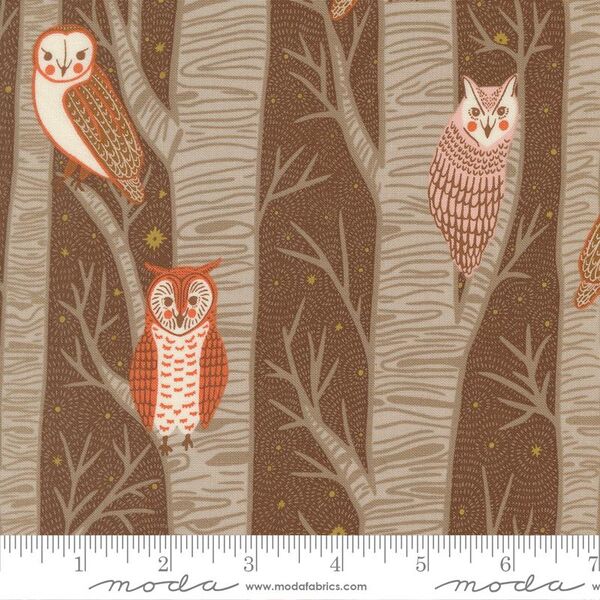 Night Owl in Cocoa