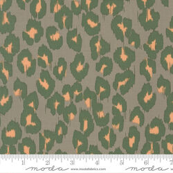 Ikat in Silver