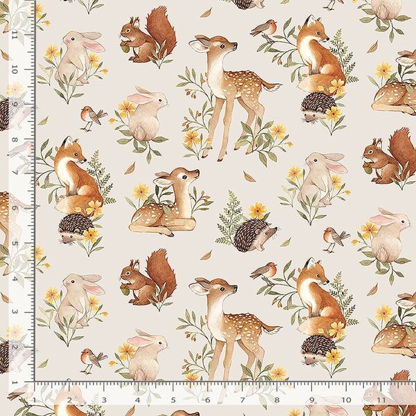 Fawn