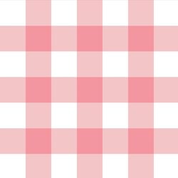 Large Gingham in Pink