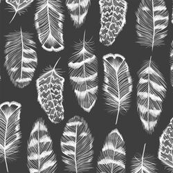 Plume in Onyx