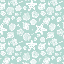 Sea Shells in Surf