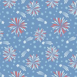 Fireworks in Celebration