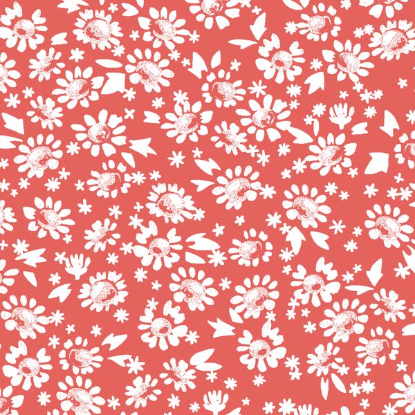 Daisies in Salmon