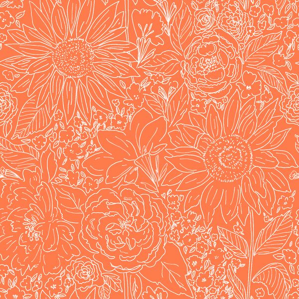 Paperie in Carrot