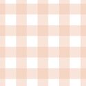 Large Gingham in Apricot