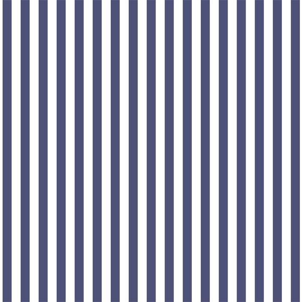 Dress Stripe in Indigo