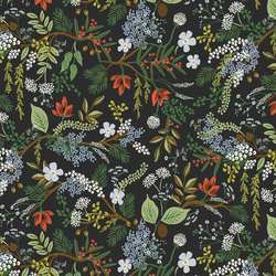 Juniper Forest in Black