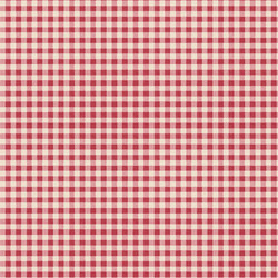 Gingham in Red