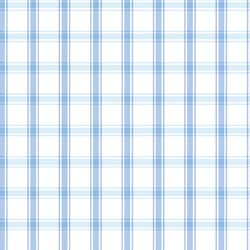 Ticking Check in Sky Blue