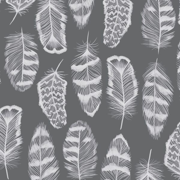 Plume in Charcoal