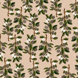 Small Blackberry Branches in Dusty Pink