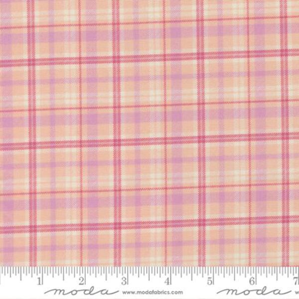 Plaid Checks in Blush