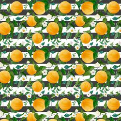 Small Oranges in Onyx Stripes