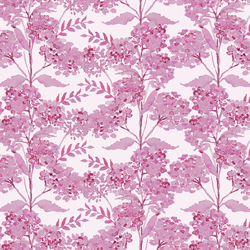 Valerian in Tropical Pink