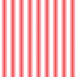 Surfin Stripe in Pink