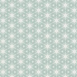 Ornament Stars in Ice
