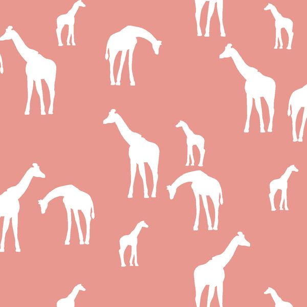 Giraffe Silhouette in Tulip