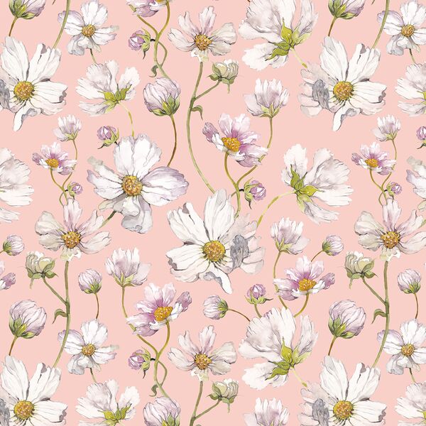 Spring Cosmos in Cherry Blossom
