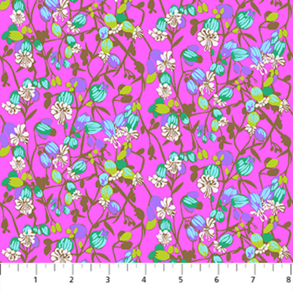 Silene in Fuchsia